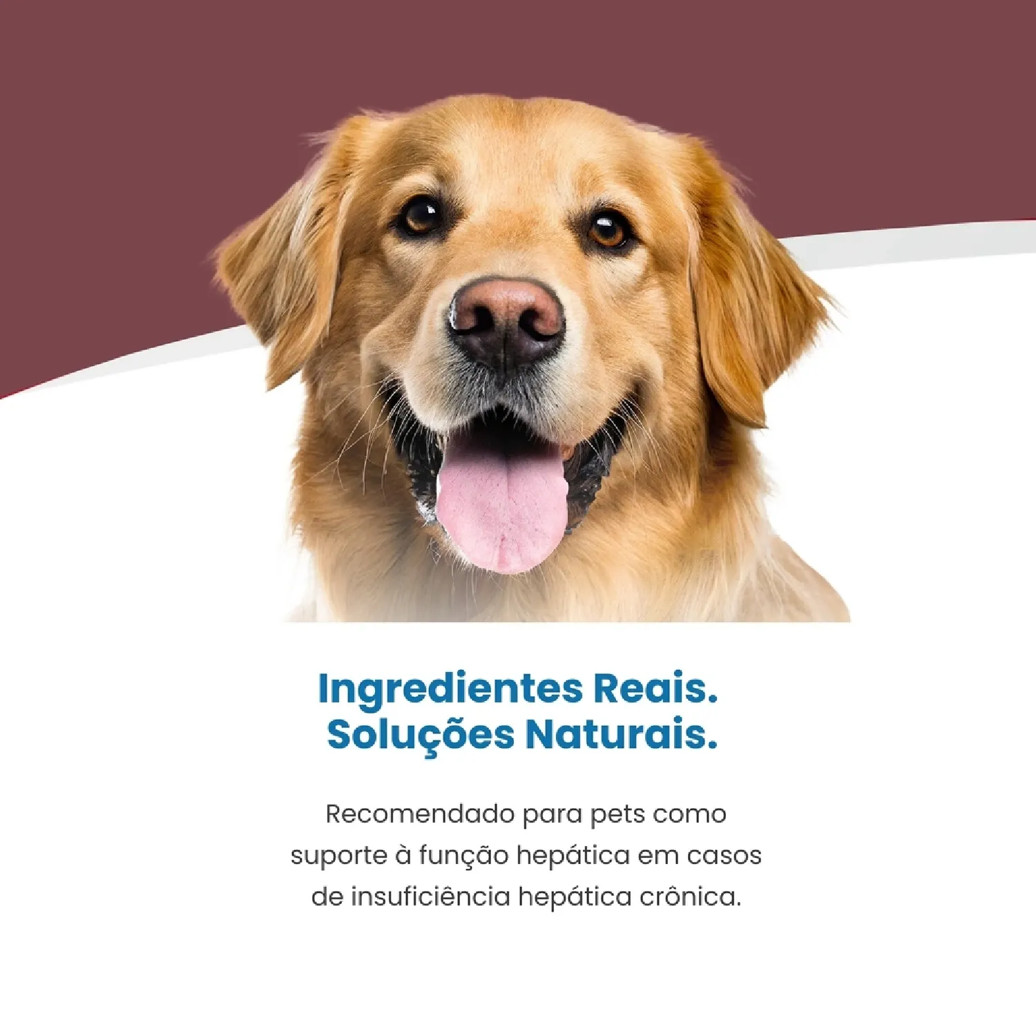 Racao Umida Vet Life Hepatic para Caes Adultos 4